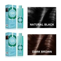 OEM Private Label Hair Color Shampoo Gold Collagen No Ammonia No Stain Scalp Skin 5 Minutes China Factory Supply